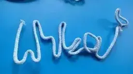 Warsztaty z łapaczy sn&oacute;w 5