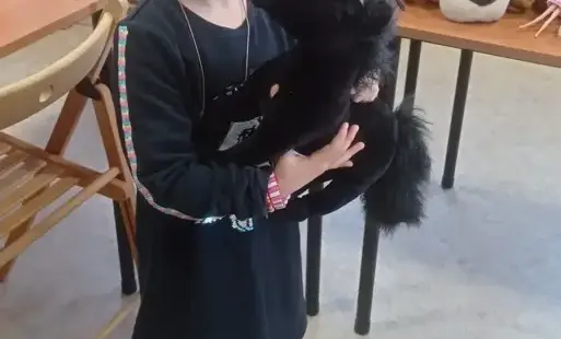 dziewczynka z konikiem